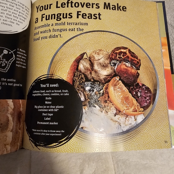 ☄️2/$15☄️Exploring kitchen science - Picture 7 of 10